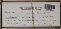 Image Associated With the Occurence